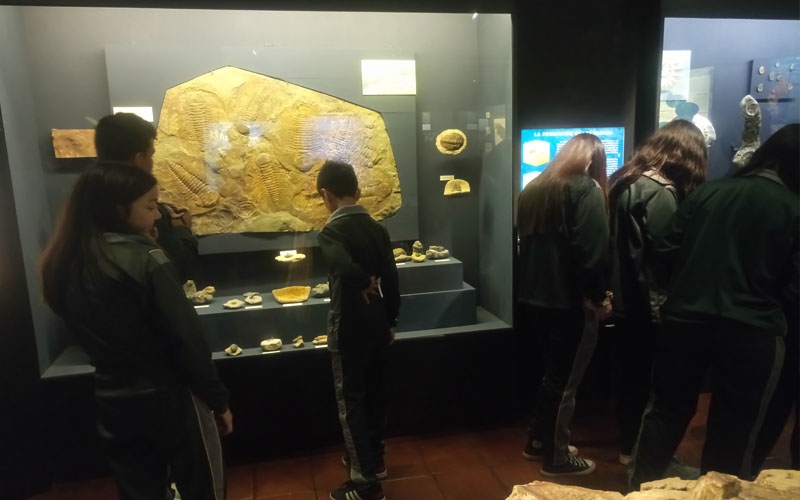 Salida educativa a museos de Colchagua