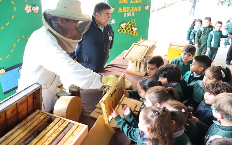 ¡Día Mundial de las Abejas: Aprendizaje Dulce y Significativo en Salesianos Linares!