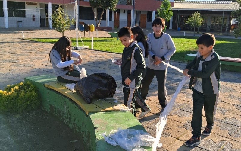 Día Internacional del Reciclaje: Actividades de Sustentabilidad